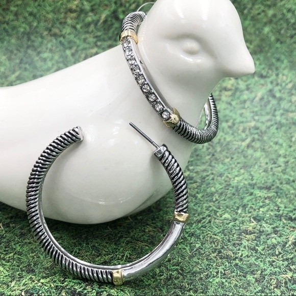 🌼 Designer Inspired 2-Tone Hoop Earrings - Picture 1 of 2